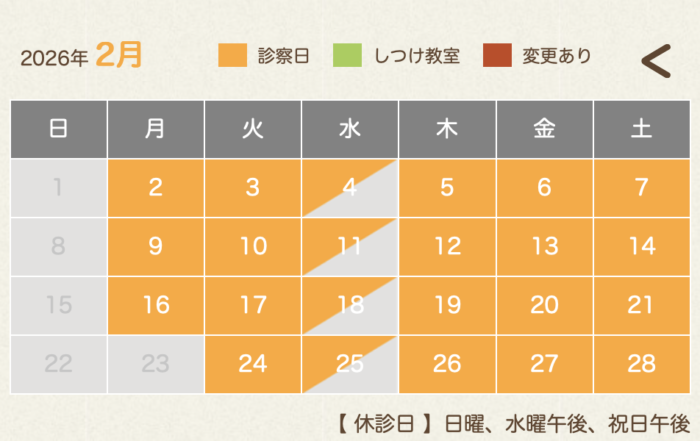 大阪　犬　骨折　パテラ　手術