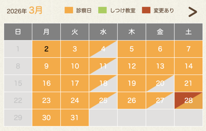 大阪　動物病院　整形